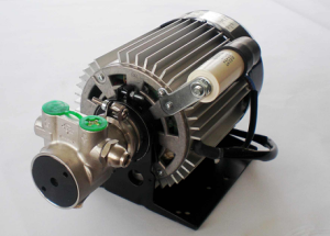 PO300+373W電機(jī)