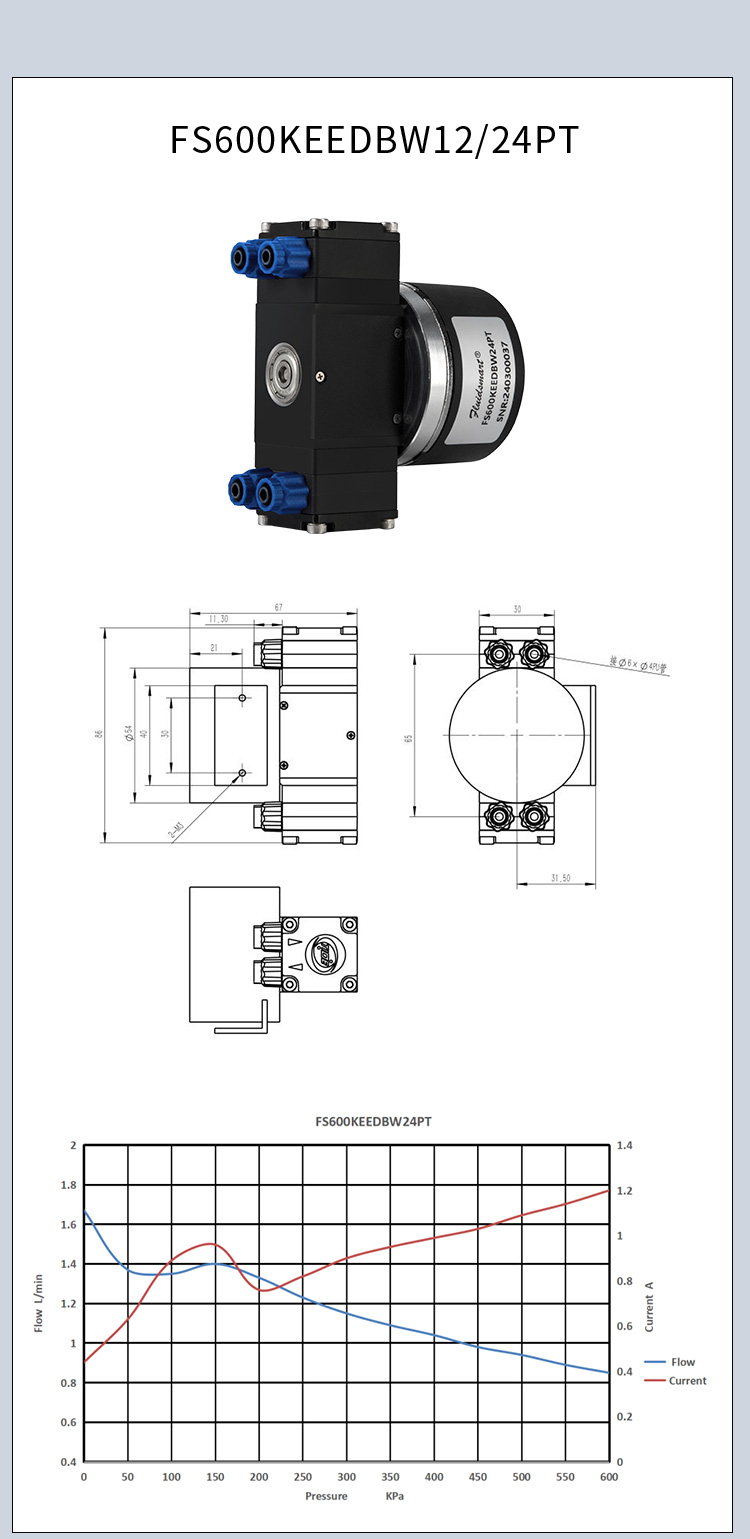 FS600-1 (6).jpg