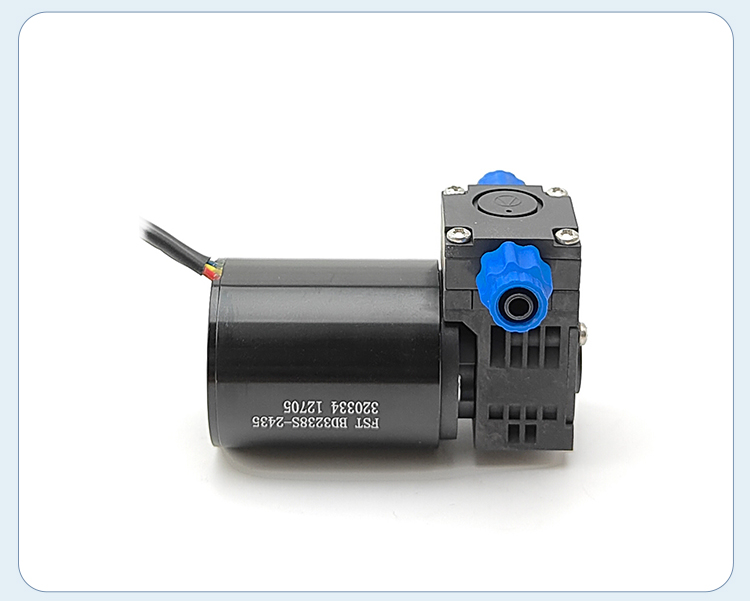 FS260-1 (8).jpg