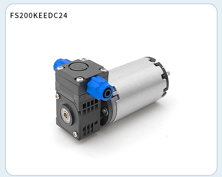 FS260-1 (9).jpg