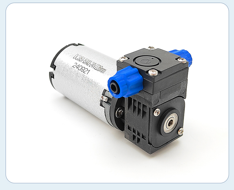 FS260-1 (11).jpg