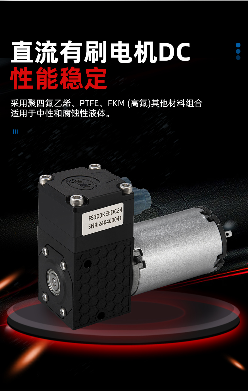 FS300-1 (11).jpg