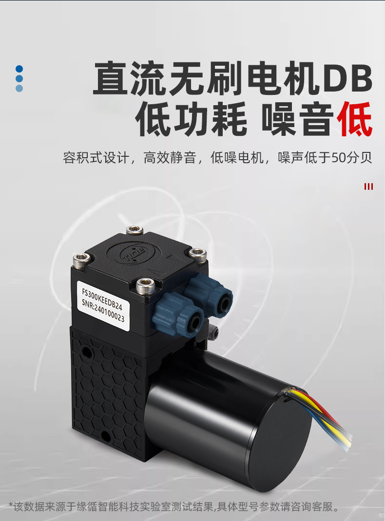 FS300-1 (12).jpg